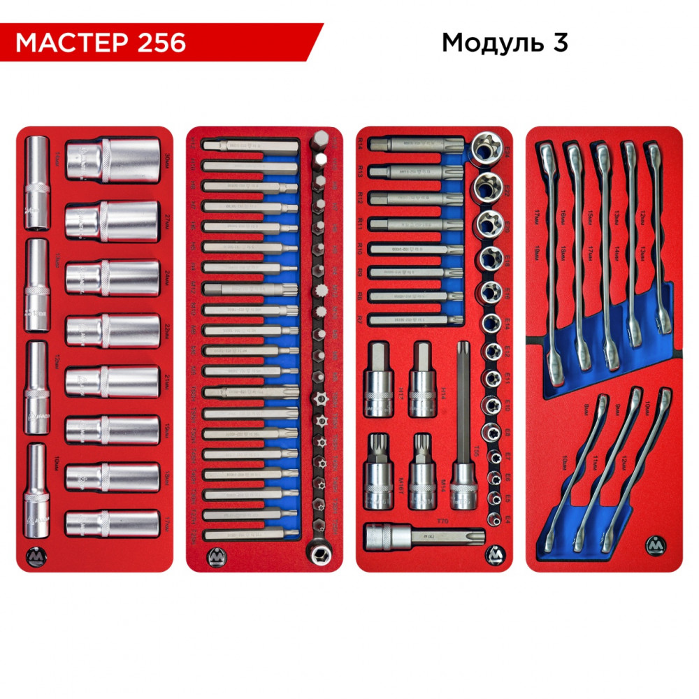 Набор инструментов 256 предметов, "МАСТЕР 256", для тележки, 11 ложементов МАСТАК 5-00256