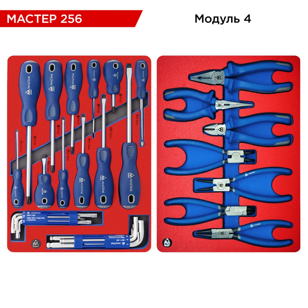 Набор инструментов 256 предметов, "МАСТЕР 256", для тележки, 11 ложементов МАСТАК 5-00256